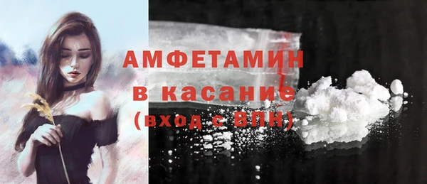spice Богданович