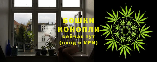 spice Богданович
