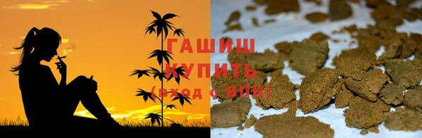 spice Богданович