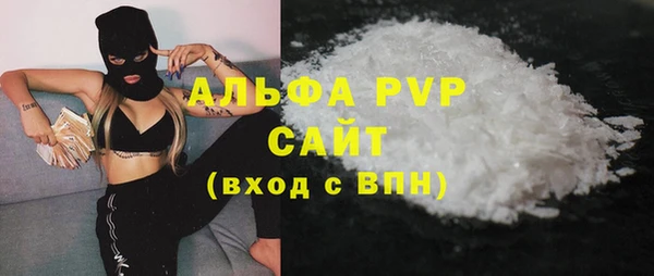 spice Богданович