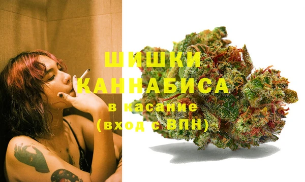 прущая мука Богородск