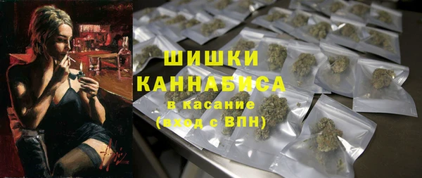 хмурый Богородицк