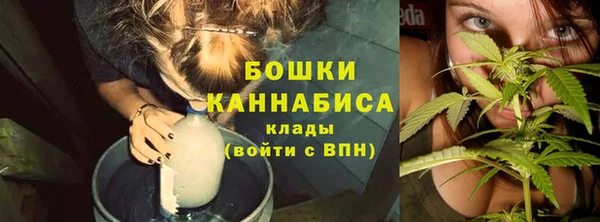spice Богданович