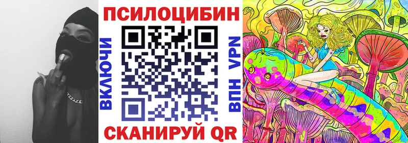 Галлюциногенные грибы Cubensis  сколько стоит  Отрадная 